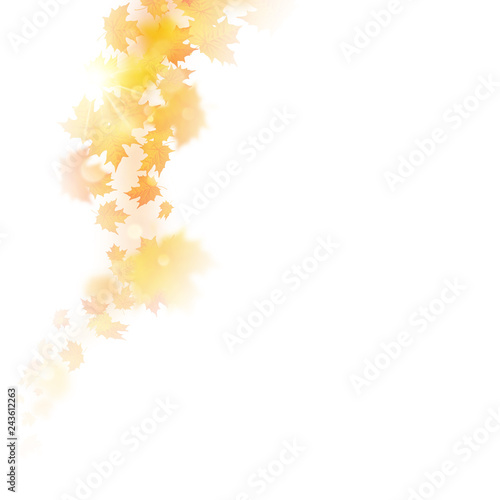 Autumn decoration  composition with maple leaves. EPS 10