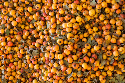 Wild fruit azarole, mediterranean medlar collected and sold in market photo