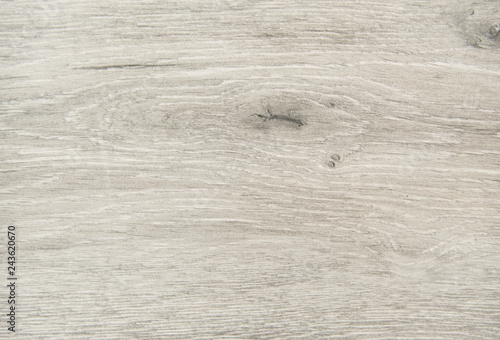 Light gray wooden floor background