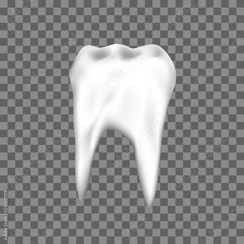 Realistic Tooth for dentist or stomatology dental care design template. Vector Illustration 
