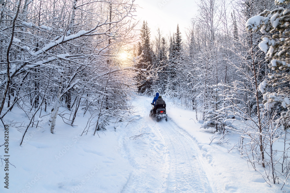 Athlete on a snowmobile. Athlete on a snowmobile.
