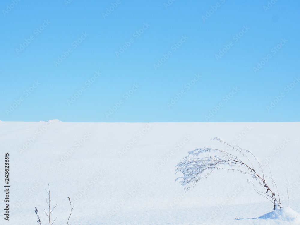 北海道の冬風景 美瑛