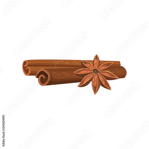 Two rolled cinnamon sticks and anise star. Cooking ingredient. Aromatic condiment. Detailed flat vector design