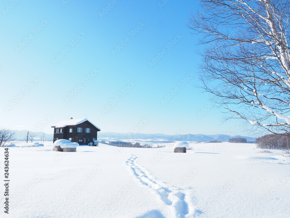 北海道の冬風景 美瑛