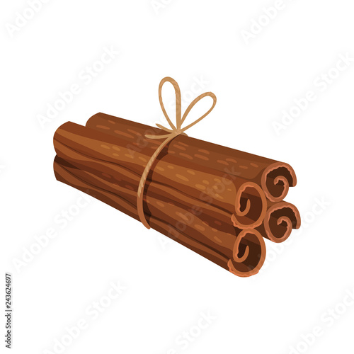 Four rolled sticks of cinnamon tied with rope. Aromatic condiment. Fragrant seasoning. Detailed flat vector design