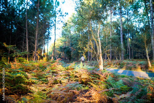 piste cyclabes dans les Landes photo