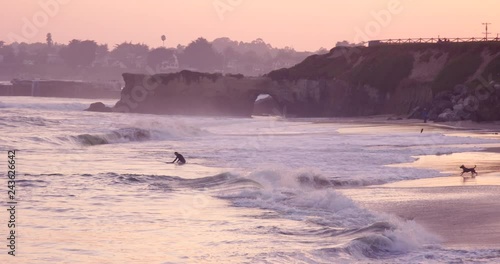 Dog playing on beach as owner goes surfer during beautiful sunset