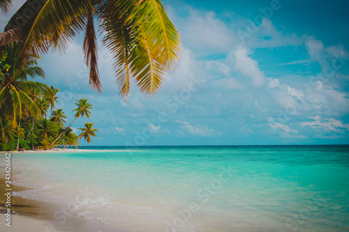 tropical sand beach with palm trees  vacation