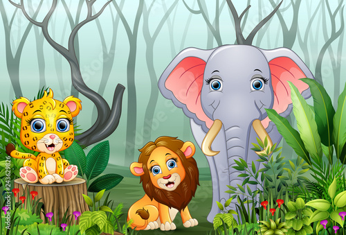 Animals cartoon with a view of the forest in the fog