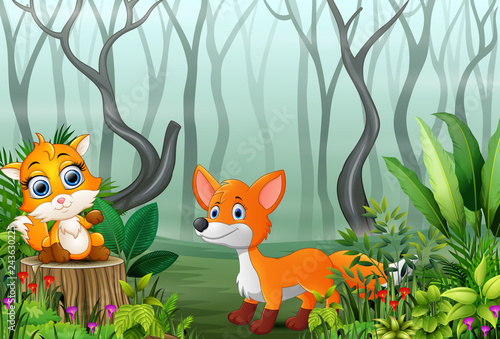Cartoon two foxes playing in the foggy forest