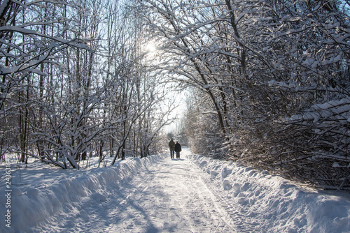 Winter road landscape © VladFotoMag
