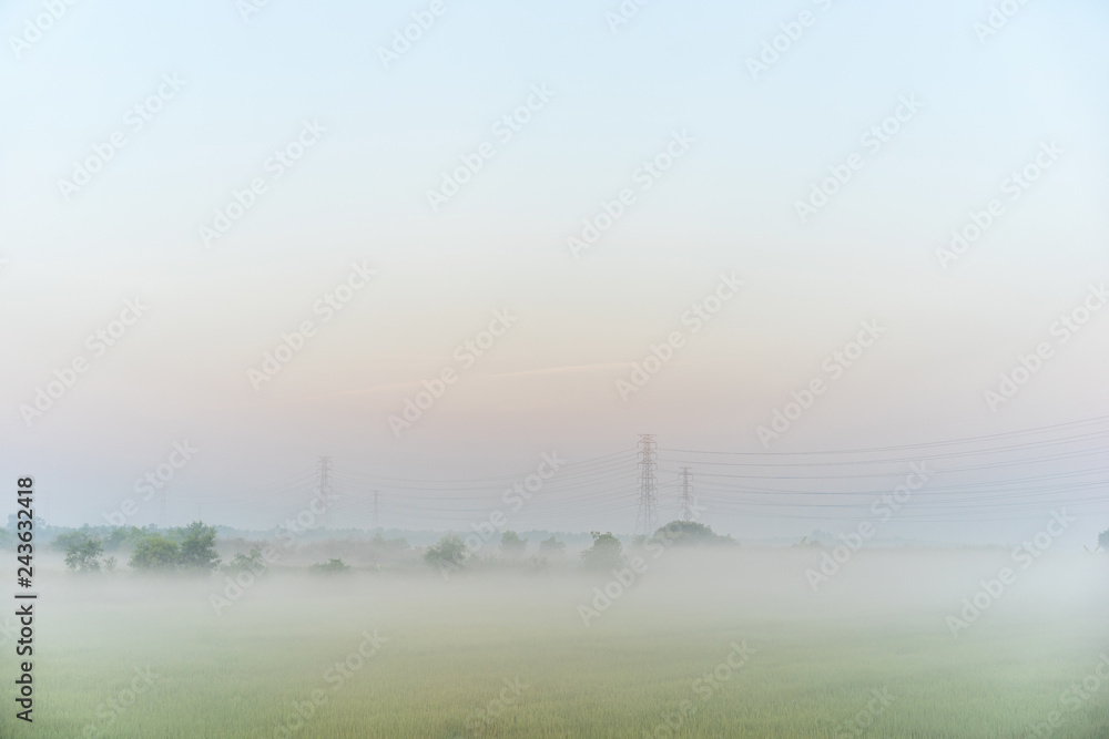High tension electric poles on the middle of paddy fields in the morning with fog.