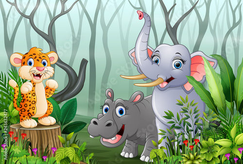 Animals cartoon with a view of the forest in the fog