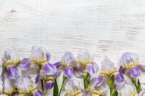 Fototapeta Naklejka Na Ścianę i Meble -  Image with iris.