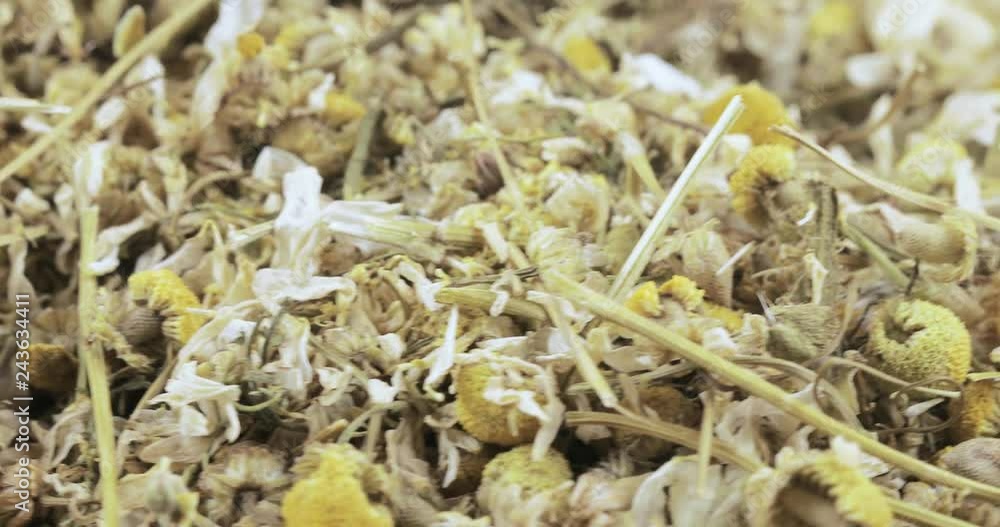 Chamomile drug bulk Chamomile drug bulk