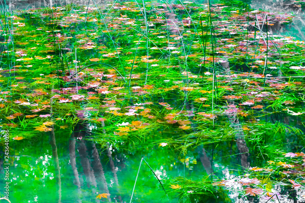Kursunlu waterfall with autumn leaves Kursunlu waterfall with autumn leaves