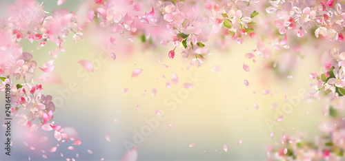 Spring Blossom Background © Nadezda Kostina