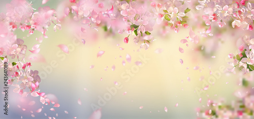 Spring Blossom Background