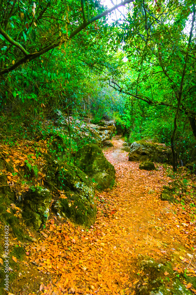 Lakeside walk in Kursunlu nature park, Aksu, Turkey Lakeside walk in Kursunlu nature park, Aksu, Turkey