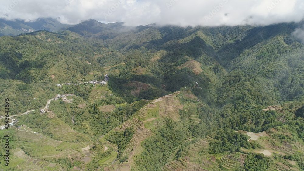 Obraz premium Aerial view of rice terraces on the slopes of the mountains, Banaue, Philippines. Rice cultivation in the North Batad. Mountains covered forest, trees. Philippine Cordilleras.