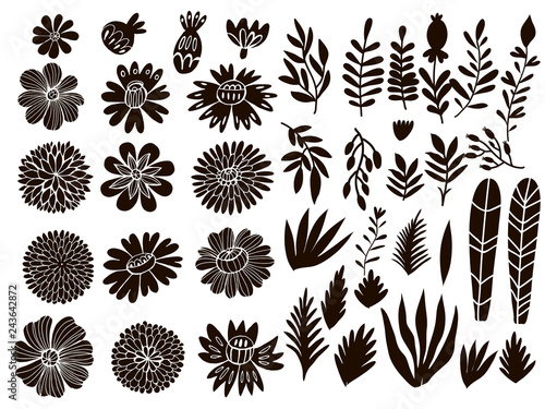 Billede på lærred Set of herbs and flowers12