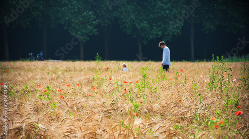 Young father and his toddler son (unrecognizable blurry people silhouettes) playing in the field. Selective focus on the foreground. Parent love and care, togetherness; family relations concepts