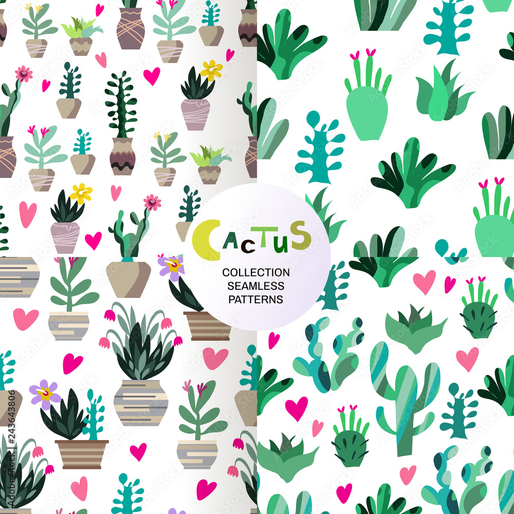 Cactus patterns set2