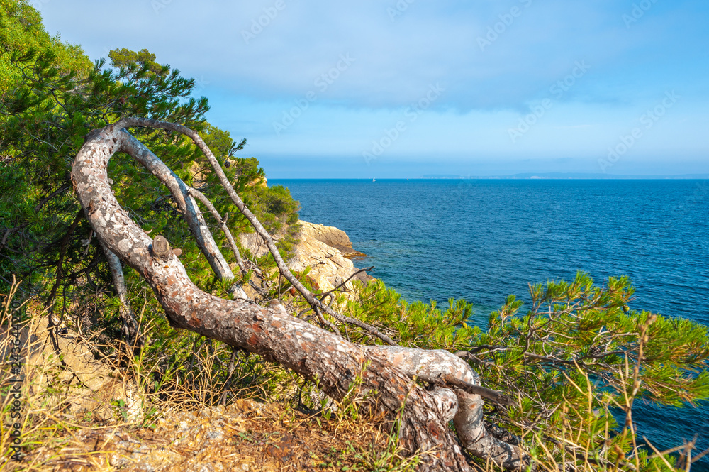 Landscape on Pointe du Layet in Le Lavandou Landscape on Pointe du Layet in Le Lavandou