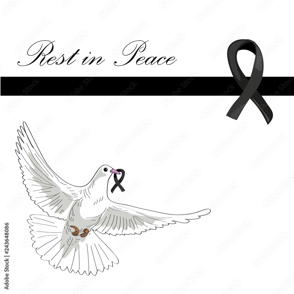 Rest in Peace. Flying pigeon with black ribbon on white background ...