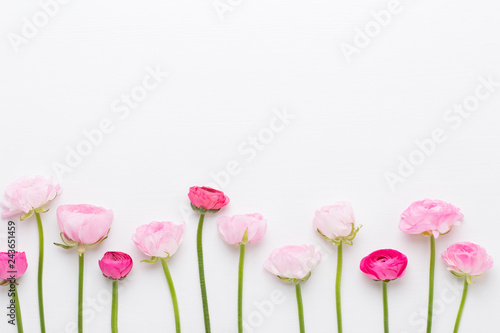 Beautiful colored ranunculus flowers on a white background.Spring greeting card.