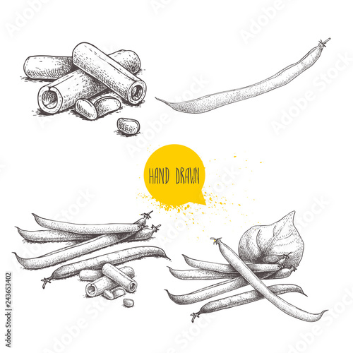 French green beans pods set. Collection of hand drawn sketches. Whole and cut. Vector illustrations isolated on white background. Healthy organic food collection.