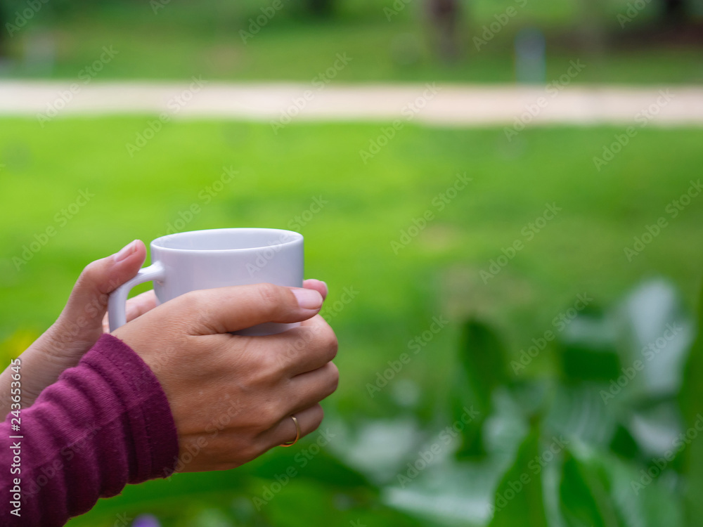 Close-up of hands holding a cup of coffee in the garden. Close-up of hands holding a cup of coffee in the garden.