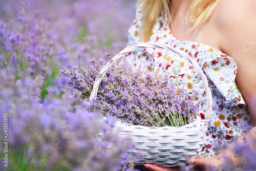 Fototapeta Naklejka Na Ścianę i Meble -  Wicker basket in the hands of a girl with lavender flowers of lilac on a lavender field.
