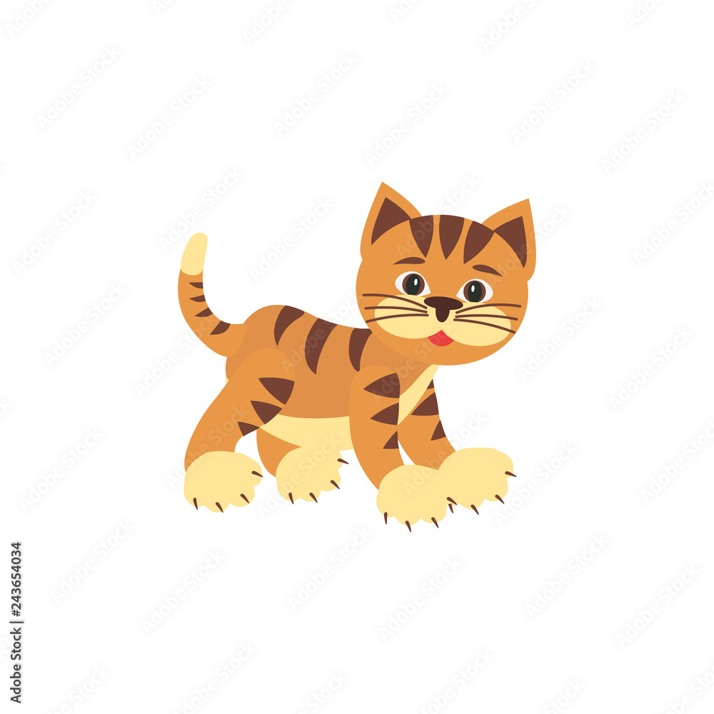 Obraz premium Cute cat. Vector illustration on white background.