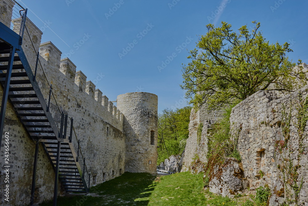 Fototapeta premium Die Ruine Pfeffingen steht auf dem Grat des Blauen im basellandschaftlichen Pfeffingen in der Schweiz.