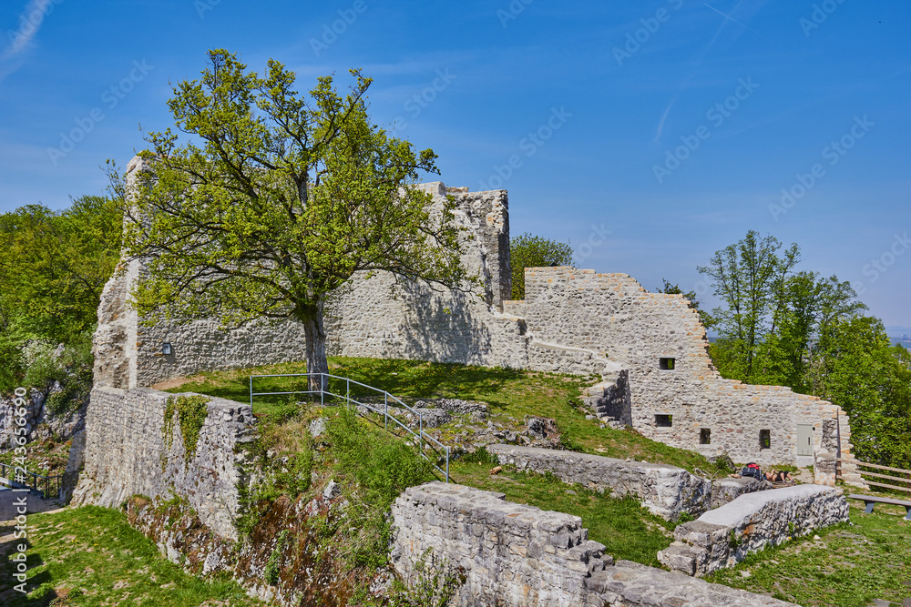 Die Ruine Pfeffingen steht auf dem Grat des Blauen im basellandschaftlichen Pfeffingen in der Schweiz.