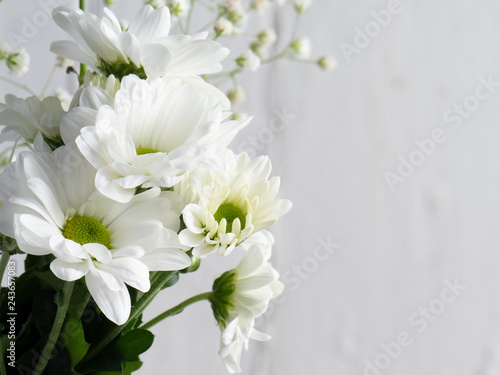 White flowers on light background