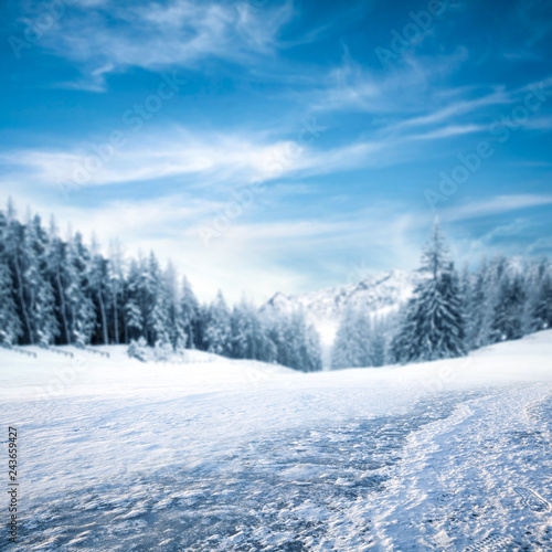 Winter background of free space for your decoration 