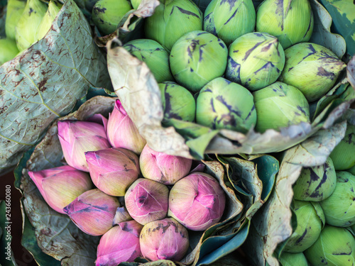 Fototapeta Naklejka Na Ścianę i Meble -  Lotus flower bundle in market