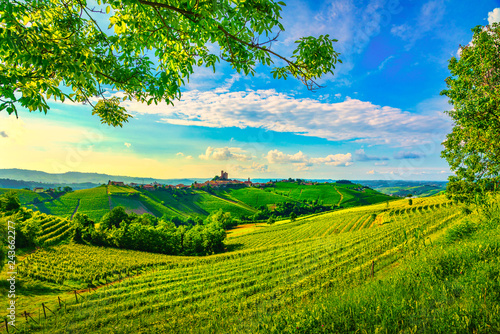 Fototapeta Naklejka Na Ścianę i Meble -  Langhe vineyards sunset panorama, Serralunga Alba, Piedmont, Italy Europe.
