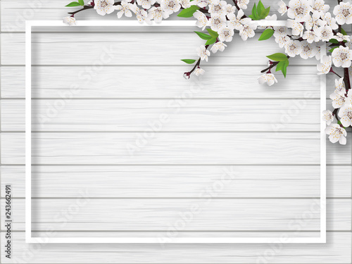 Fototapeta Frame with spring blossoming cherry branches on a white wooden background. Blank for advertising flyer or invitation card.