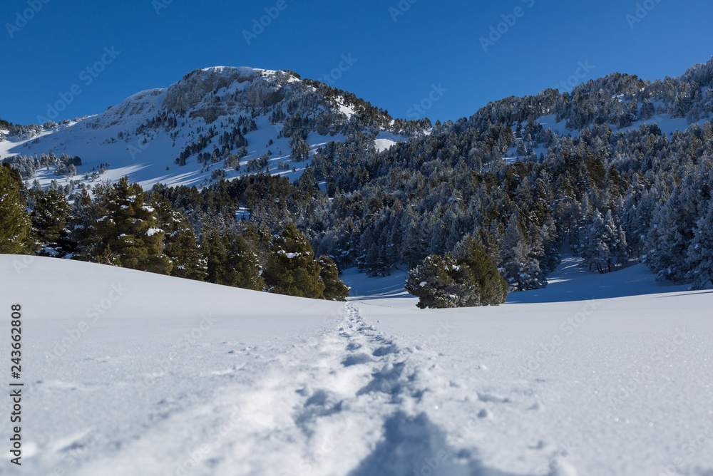 A trail in the snow in the mountains of Les Vercors, France. A trail in the snow in the mountains of Les Vercors, France.