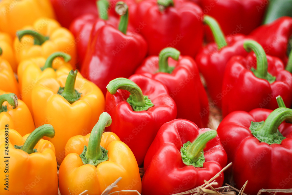 Yellow and red bell pepper ( capsicum) group on rice straw for sale Yellow and red bell pepper ( capsicum) group on rice straw for sale