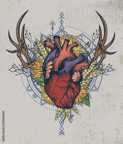 Colorful anatomical human heart poster in engraving technique with sacred geometry, deer stag and sunflower bouquet on grunge background. Tattoo, tee shirt print design. Vector illustration.