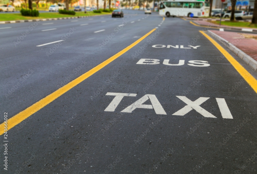 custom made wallpaper toronto digitalBus and taxi lane painted on street