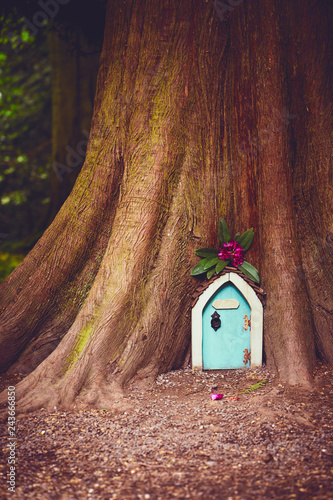 A small fairytale doorway into the trunk of a large tree.