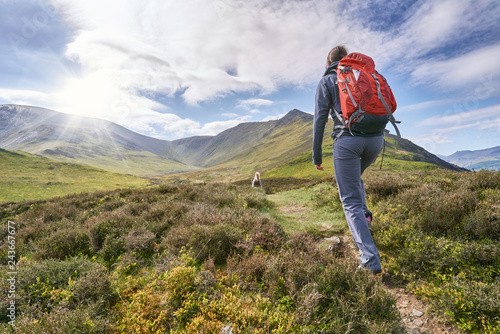 A hiker walking up a mountain ridge, The Edge, towards Ullock Pike, Carl Side and Skiddaw in the English Lake District UK фототапет