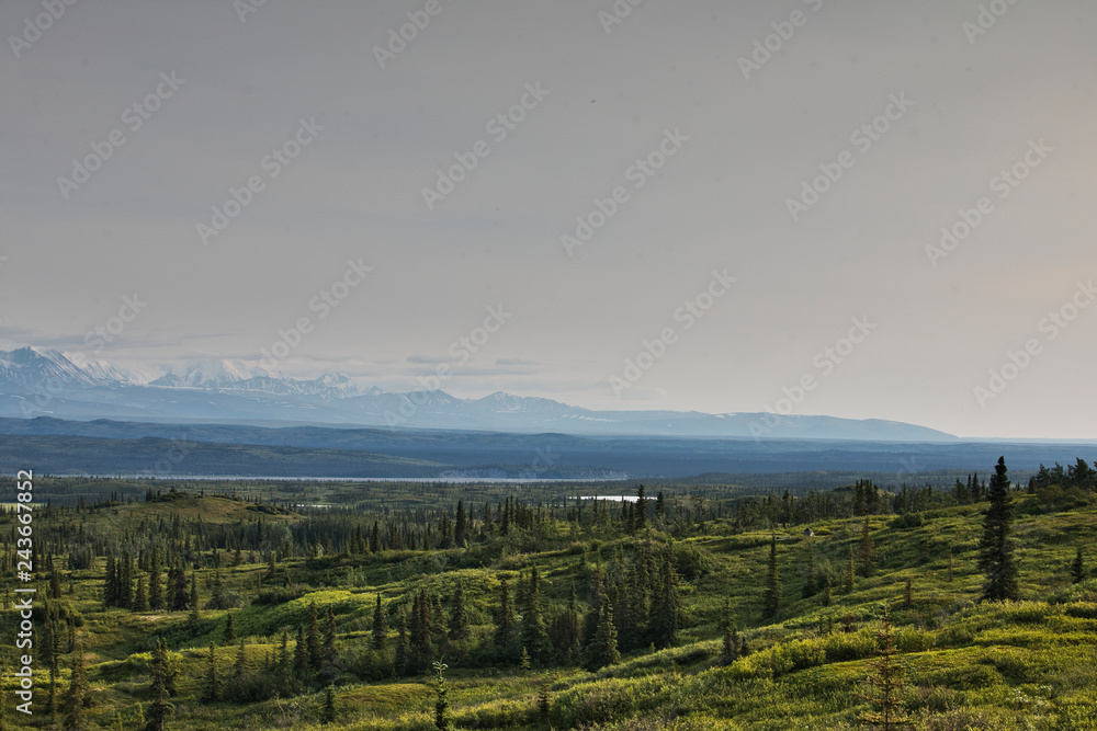 Obraz premium Mount Denali and Alaska Range