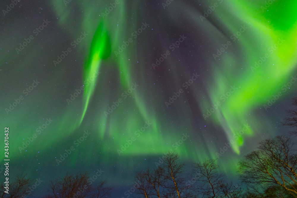 Beautiful Aurora Borealis in winter