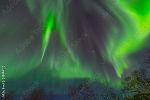 Beautiful Aurora Borealis in winter © prasitphoto
